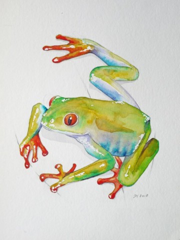 Aquarellbild eines grünen Frosches vor weissem Hintergrund